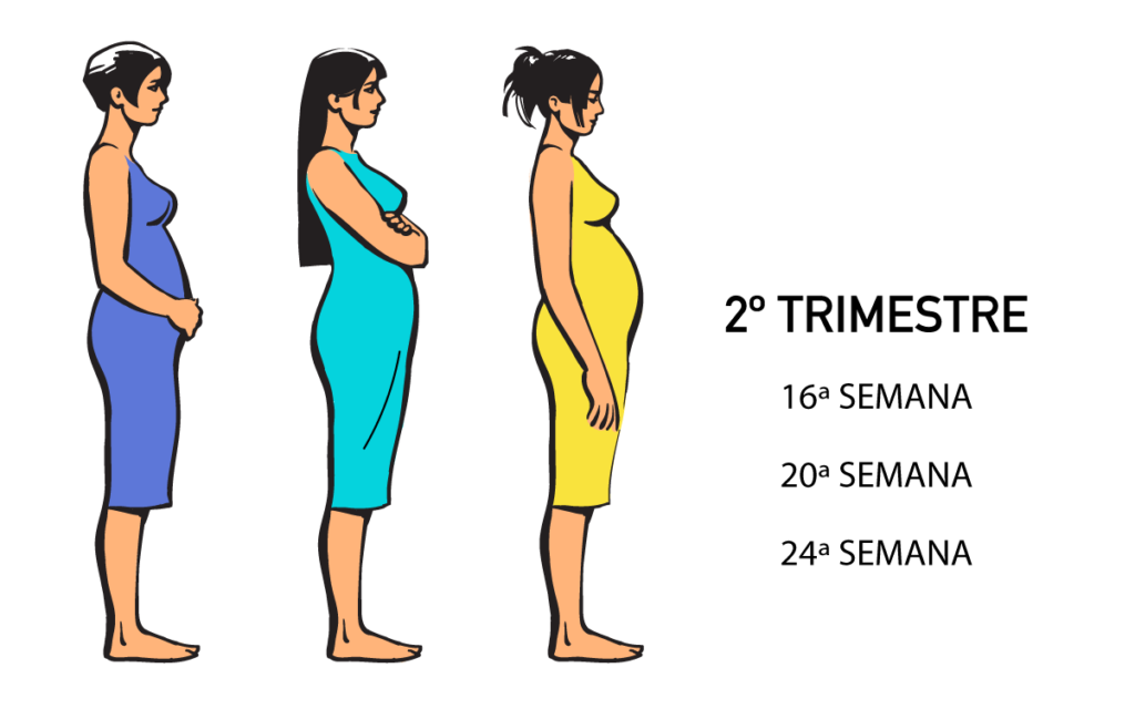 Os 18 primeiros sintomas de gravidez mais comuns